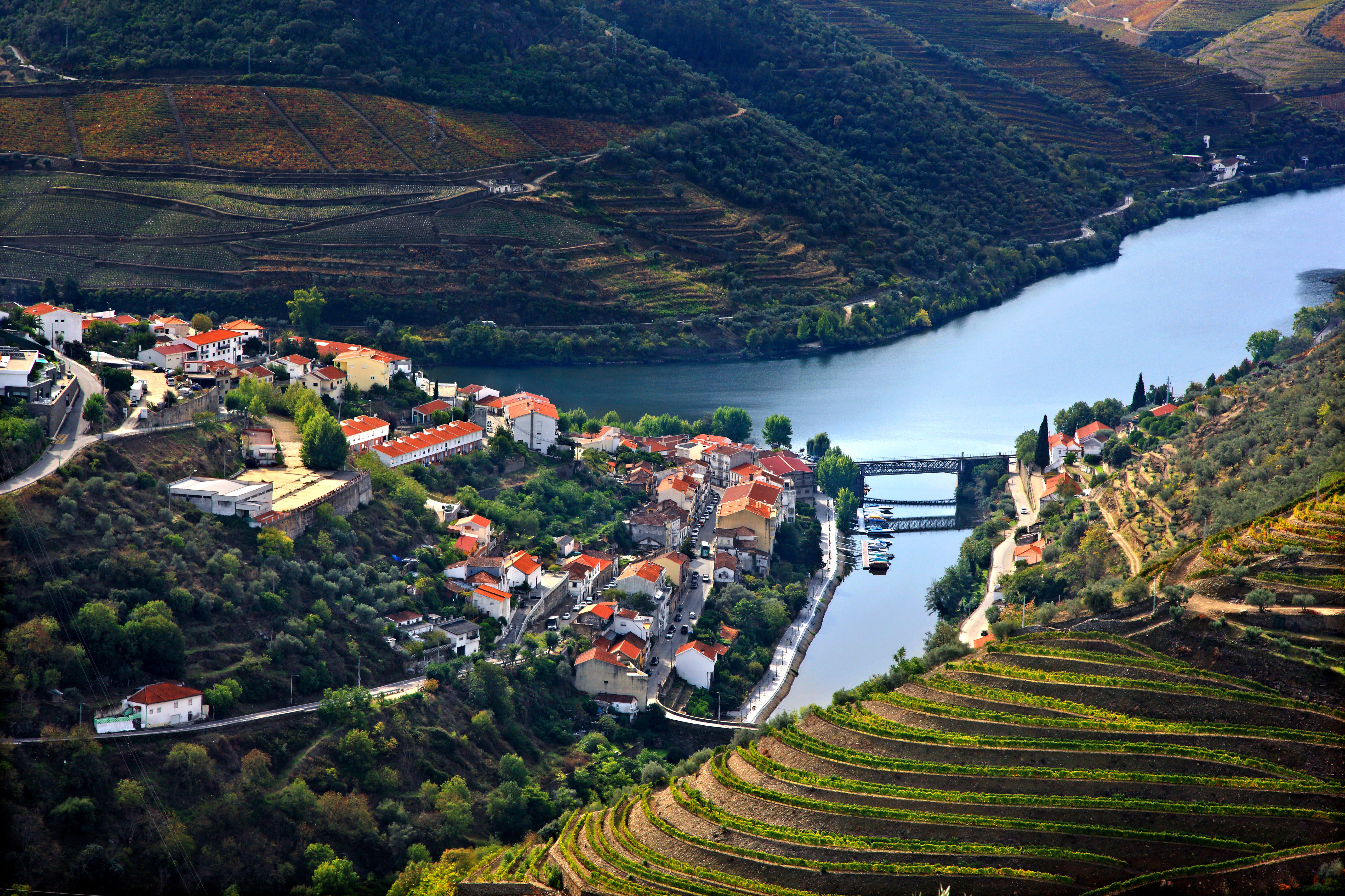 Douro Valley River Cruise