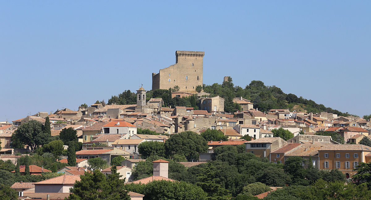 Private Afternoon Wine Tour to Chateauneuf Du Pape