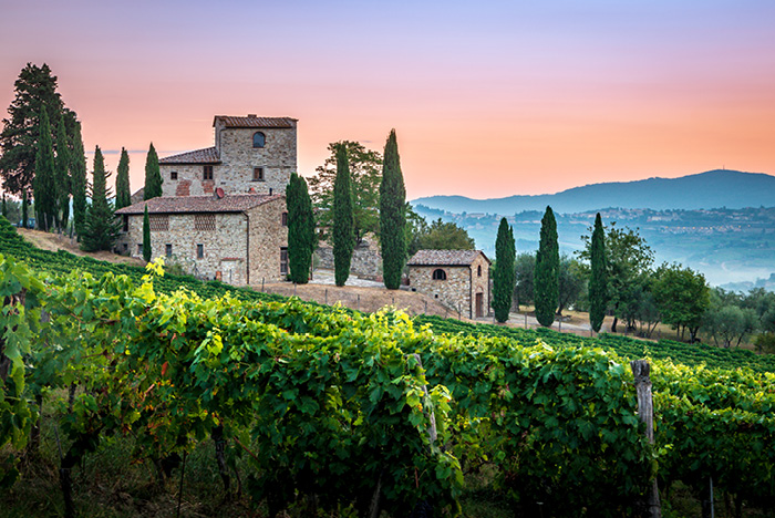 Italy10day 8 Beautiful Vineyards At Sunset In Tuscany