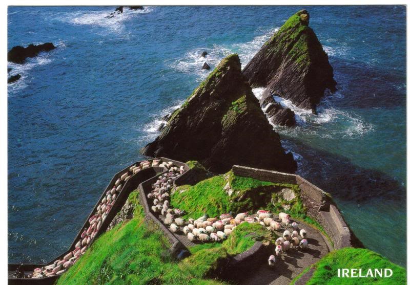 The Dingle Peninsula - a full day with your Driver / Guide